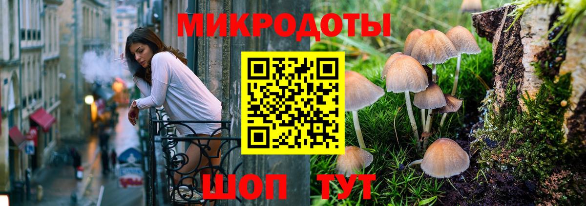 Галлюциногенные грибы Psilocybine cubensis Миллерово