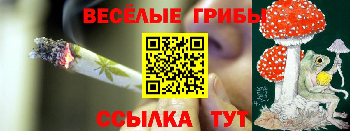 Миллерово  Псилоцибиновые грибы Psilocybine cubensis  Вход с VPN  где можно купить   Псилоцибиновые грибы ЛСД 